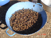 Le nettoyage des escargots